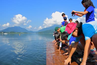 「水浄化実験」