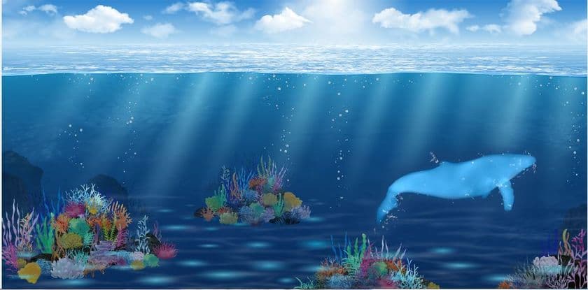 吹き抜けのロビーが幻想的な「海」の世界に大変身！
“インタラクティブ デジタルアート”を5/14～展示