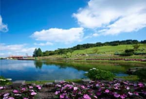 六甲山カンツリーハウス園内