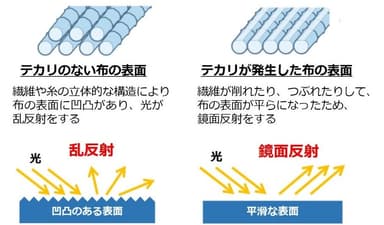 図2：テカリのメカニズム