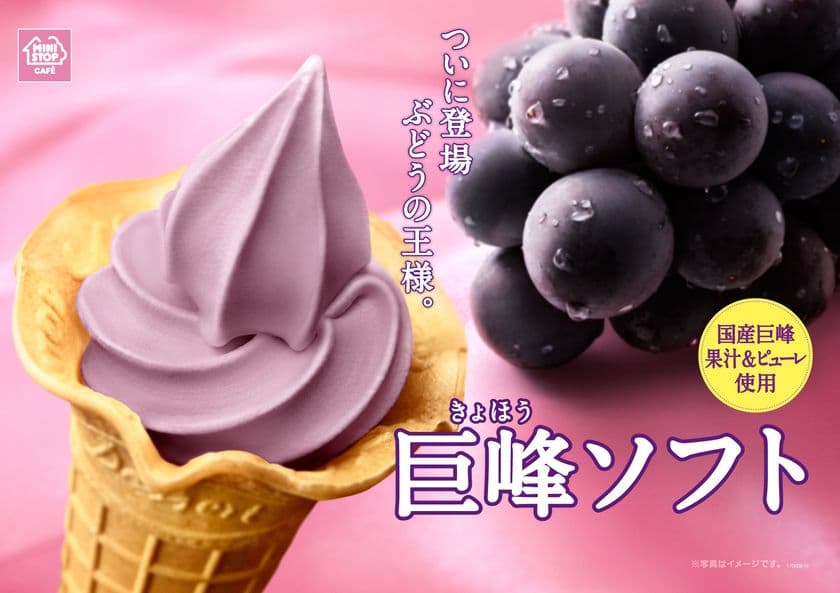 国産巨峰の果汁＆ピューレ使用
今年の夏ソフトは、ぶどうの王様「巨峰」！
「巨峰ソフト」 ５/２６（金）より順次発売