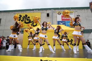 Tigers-girlsスペシャルダンスショー！