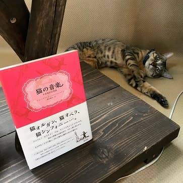 ネコと本1