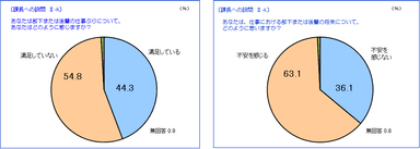 仕事ぶりと将来の不安