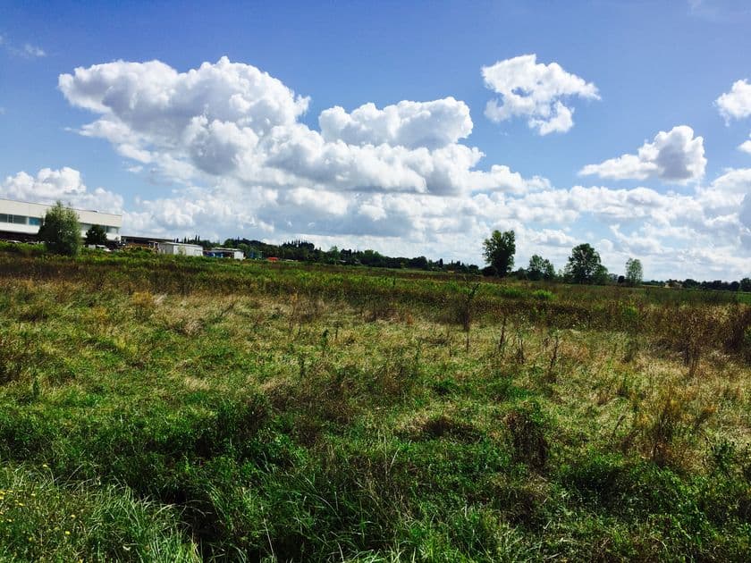 イタリアの極上牛肉『キアニーナ牛』を飲食業界向けに6/19発売
　色々な部位を組み合わせた「お試し5kgセット」も提供