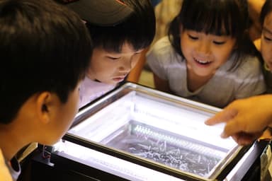 昨年の様子1