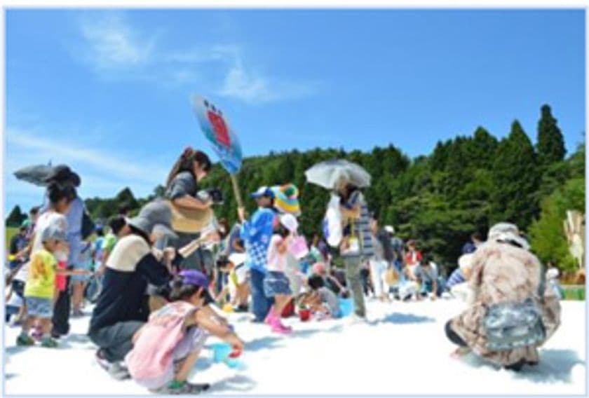 六甲山カンツリーハウス「真夏の雪まつり」
7月15日（土）スタート！
～オープニングイベント限定で300本の雪上ひまわり畑が登場～