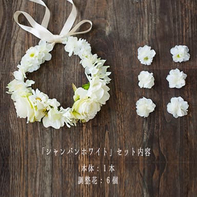 「シャンパンホワイト」セット内容