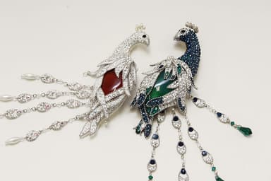 準グランプリ『〜孔雀・白孔雀〜』