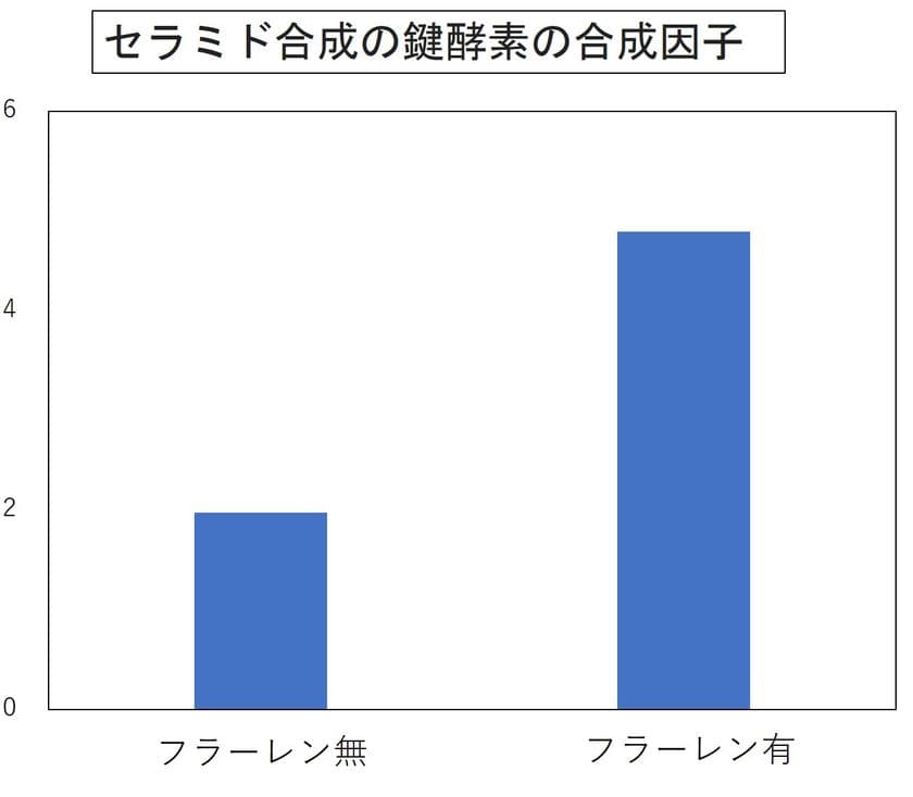 フラーレンにより肌の保湿力アップ！！
～保湿に必要なセラミド増加のメカニズムを確認～