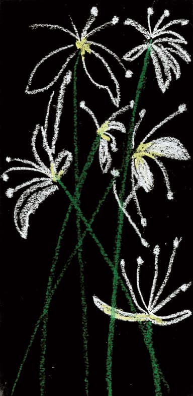 祝いの花