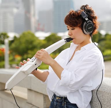 2016年10月発売の「Aerophone AE-10」