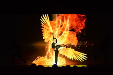 Firebird(1)