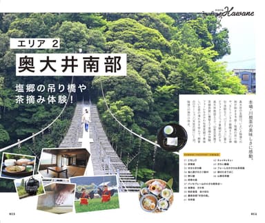 本場・川根茶の美味しさに感動。