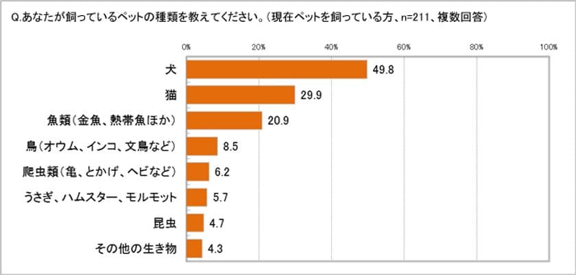 ペットTOP3は犬49.8％、猫29.9％、金魚・熱帯魚20.9％　
犬はペットショップで購入、猫は拾ったり、もらったり……　
医療費、一番多い年で犬飼い主の24.8％が年間10万円以上