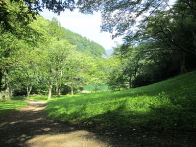 湖畔広場