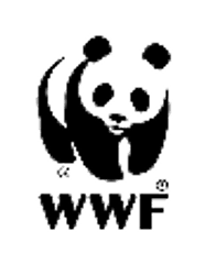 STOP 温暖化！の願いが地球を一周する世界的イベント「Earth Hour 2010」
 日本から広島市の原爆ドームも参加します