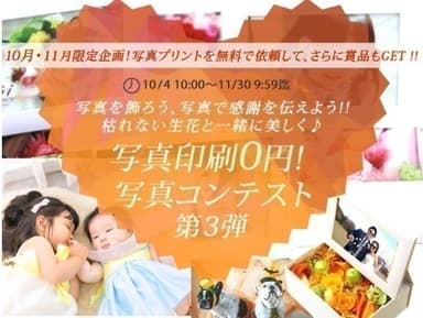 第3弾 写真コンテスト開催(イメージ画像)