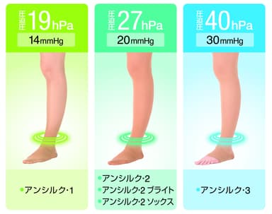 豊富なラインアップ