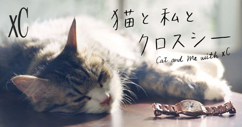 「シチズン クロスシー」がキュートな子猫とともに
時計機能を紹介する動画を公開！