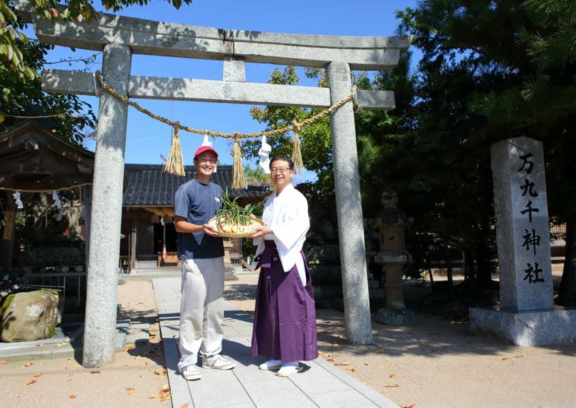 神社のジンジャーこと『出雲生姜』の収穫が最盛期を迎える！　
自称「日本で一番辛い生姜」が通販などで購入し堪能できる