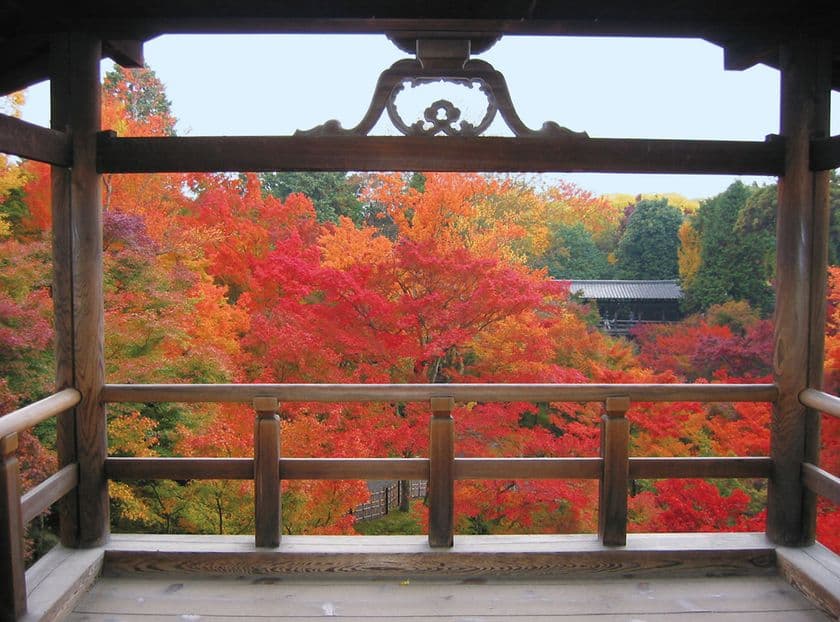 ～ 東福寺・七条エリア活性化プロジェクト ～
「京都・東福寺マルシェ」を開催