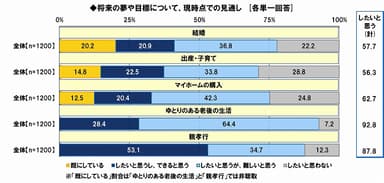 将来の夢・目標と、その見通し