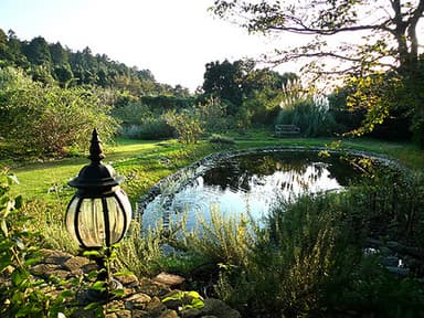 2009年10月：池