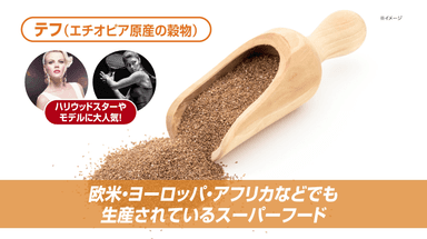 テフグラン紹介2
