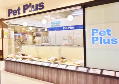 Pet Plus店舗(1)