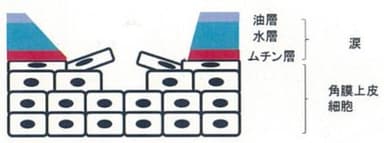 図2