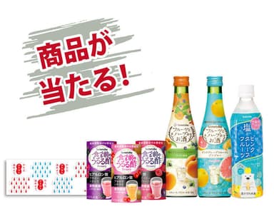 キャンペーン(2)イメージ
