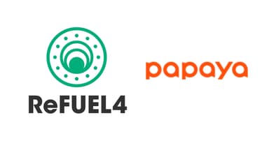 20171113_RF4_Papaya_img