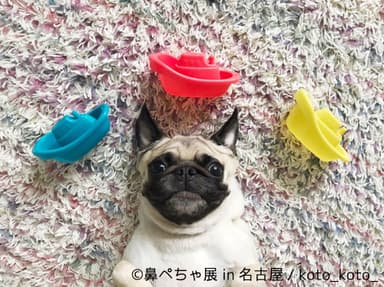 展示予定作品8
