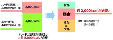 高校のハードな部活生徒に、昼食で2&#44;000kcalを推奨する理由
