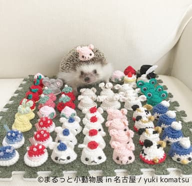 グッズ1