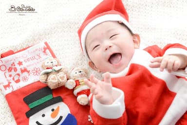 季節ものの撮影も大人気！