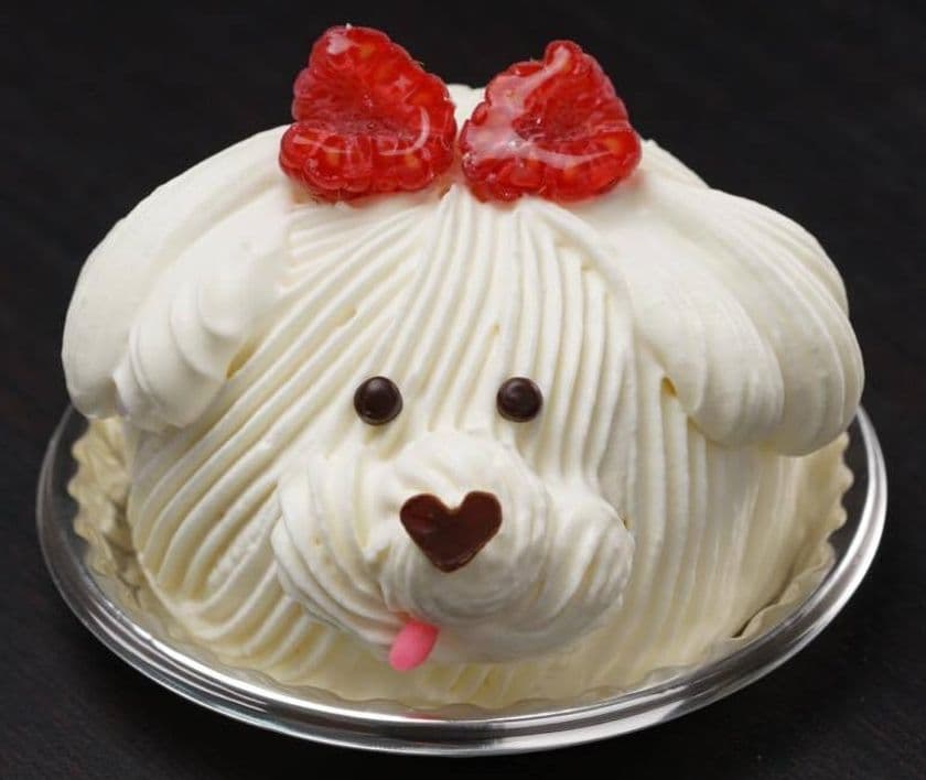 【あべのハルカス近鉄本店】“戌”（犬）グッズ特集