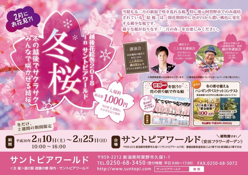 2月の新潟で「冬の桜」が咲き乱れる！
サントピアワールド、越後花絵巻2018を2/10から開催
