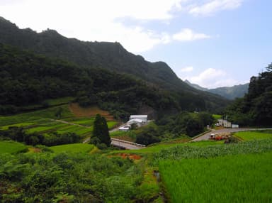 工場遠景