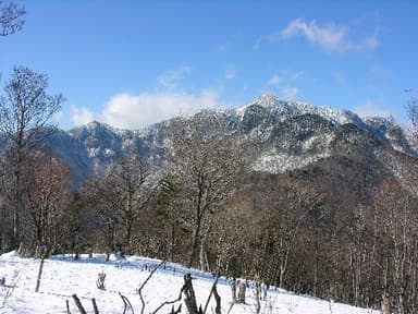和佐又山