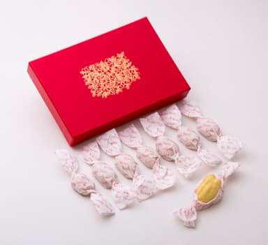 ■ペカンショコラ・キャラメル・ア・ラ・トリュフ　8個入 1&#44;000円(税別)/16個入 2&#44;000円(税別)