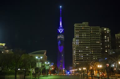 LOVEイルミネーションも特別点灯
