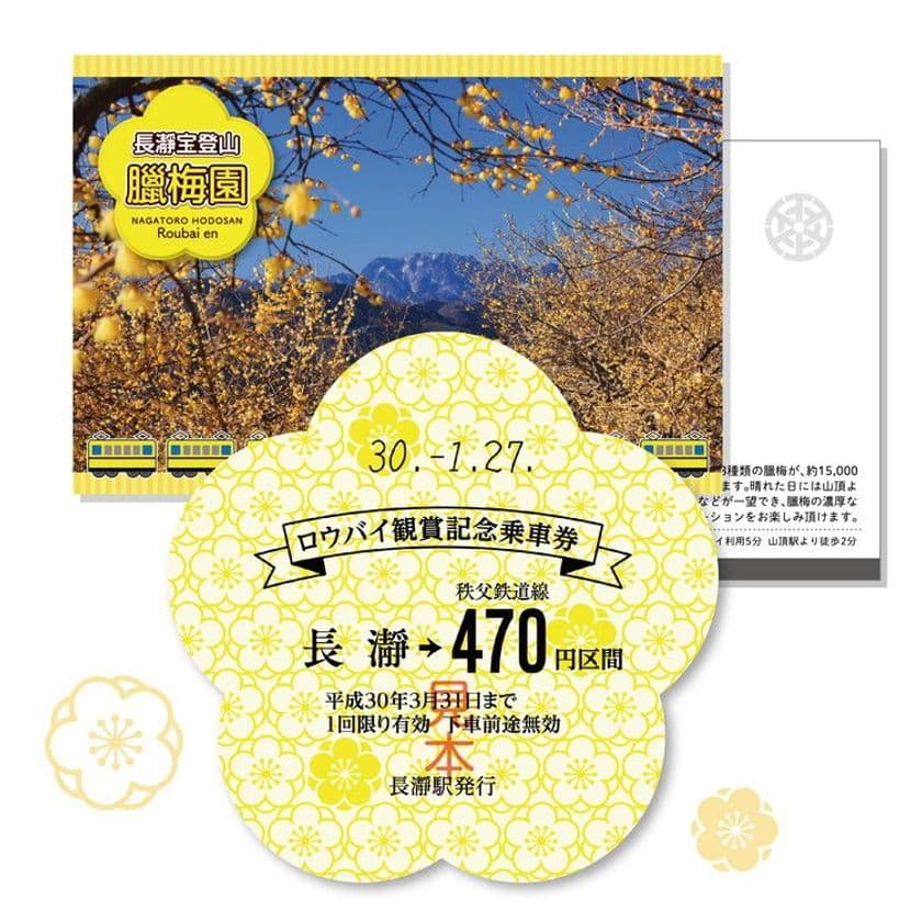 1/27発売「ロウバイ観賞記念乗車券」今年は花型硬券！
長瀞宝登山臘梅園見ごろに合わせ
「急行ロウバイ号」運行・ハイキング実施