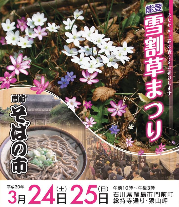 石川県・能登で見ごろの雪割草と門前そばで春を感じる　
「能登まつり・門前そばの市」3月24～25日に開催！