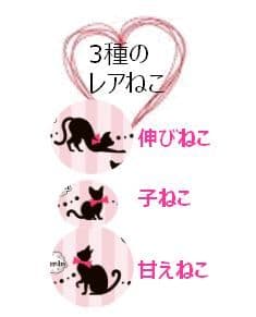 3種のレアねこ