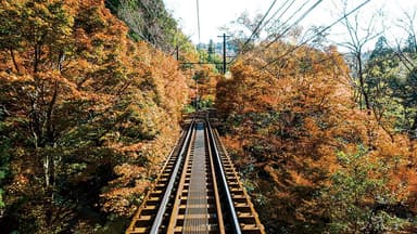 場面写真(青もみじと紅葉の叡山電鉄)