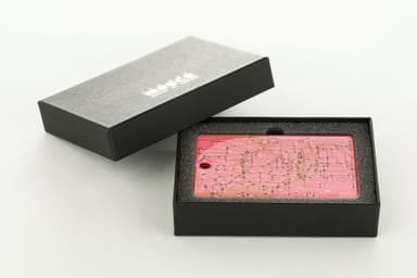 FLASH 東京回路線図 ICカードケース 箱入り