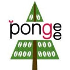 pongee