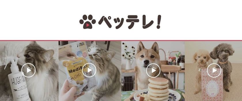 業界初ペット特化の動画コマース『ペッテレ！』を3月末スタート
　「プロモーションから販売まで」実施する動画通販サイト
